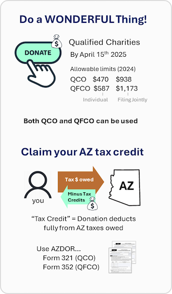 arizona tax credit for charities overview